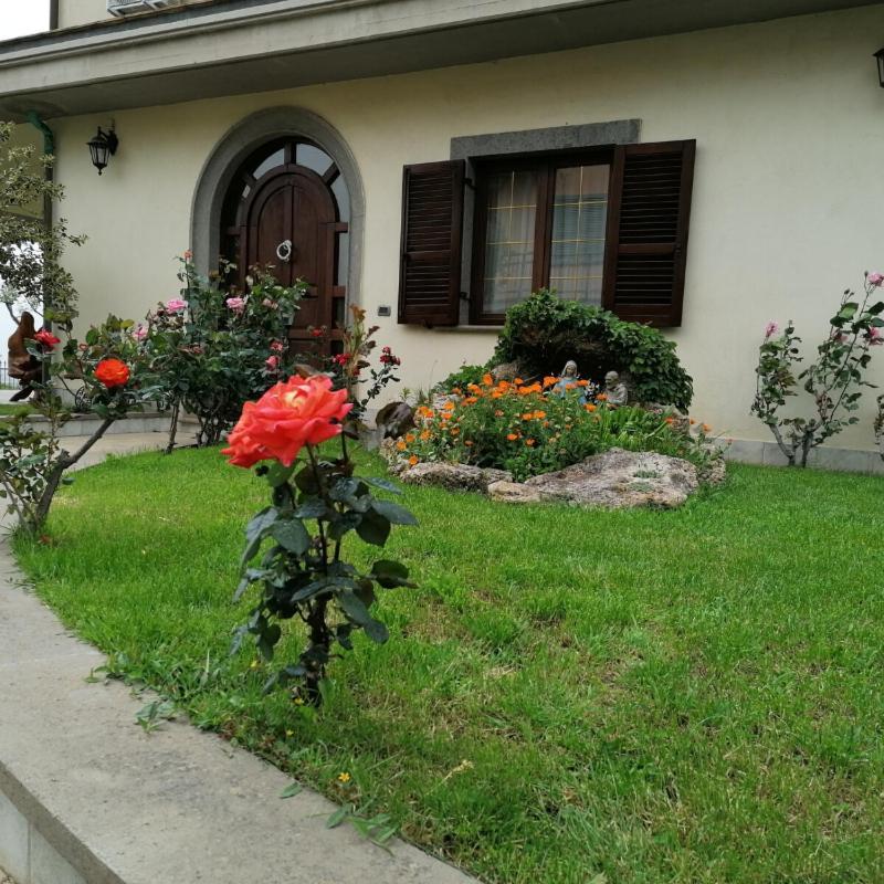 B&B Il Belvedere Viterbo Esterno foto